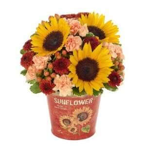 Mothers Day